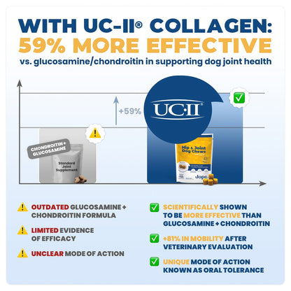 Jope Hip & Joint Dog Chews - 60 Count