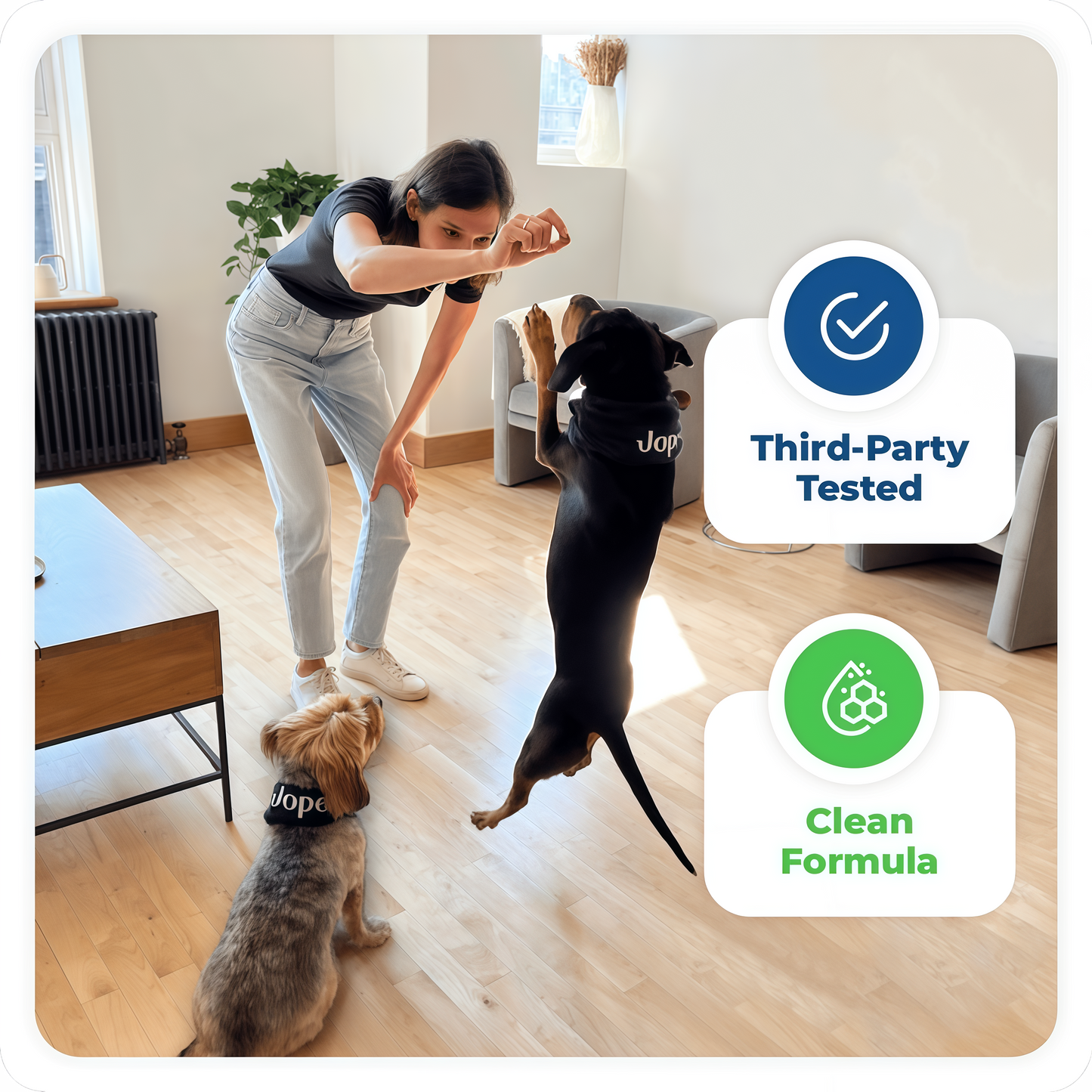 Jope Hip & Joint Dog Chews - 60 Count